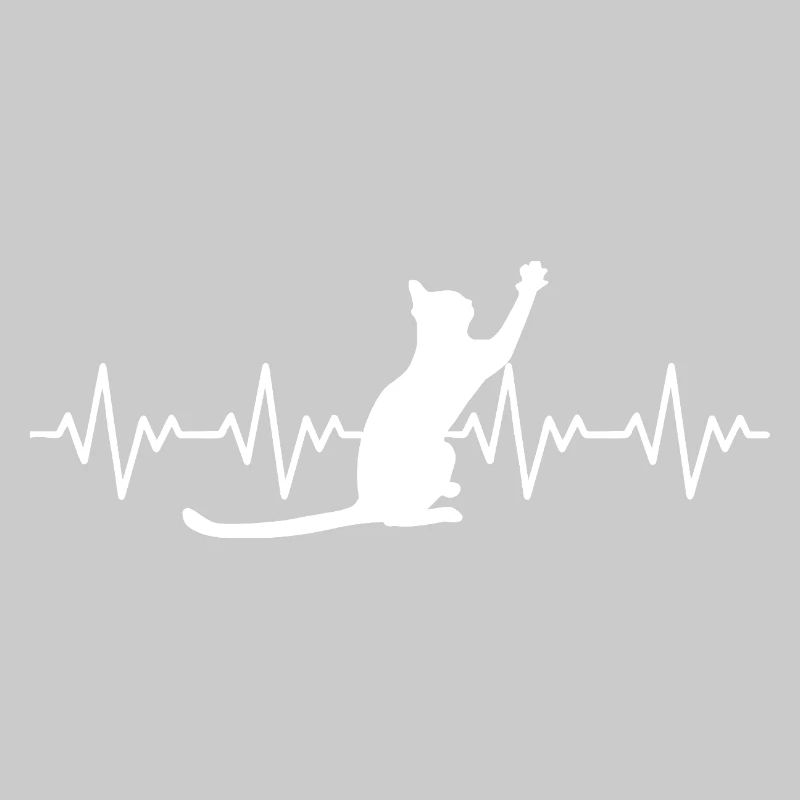 Katze EKG Herzfrequenz Herzschlag