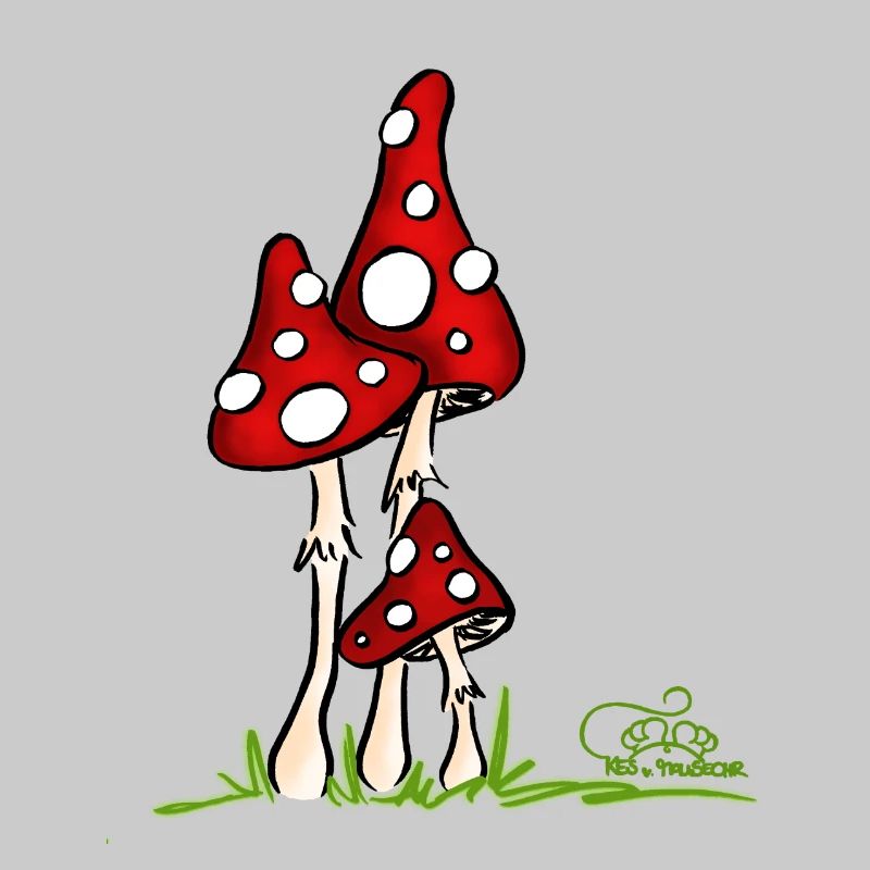 Muchotravky - Toadstools