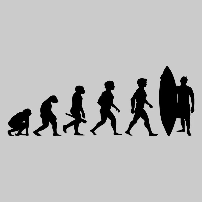 Evolution Surf Surfers surf surf