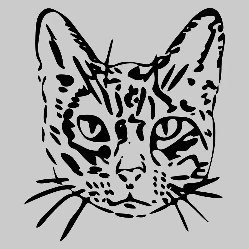 Cat, kitty, kitty, gift, gift idea