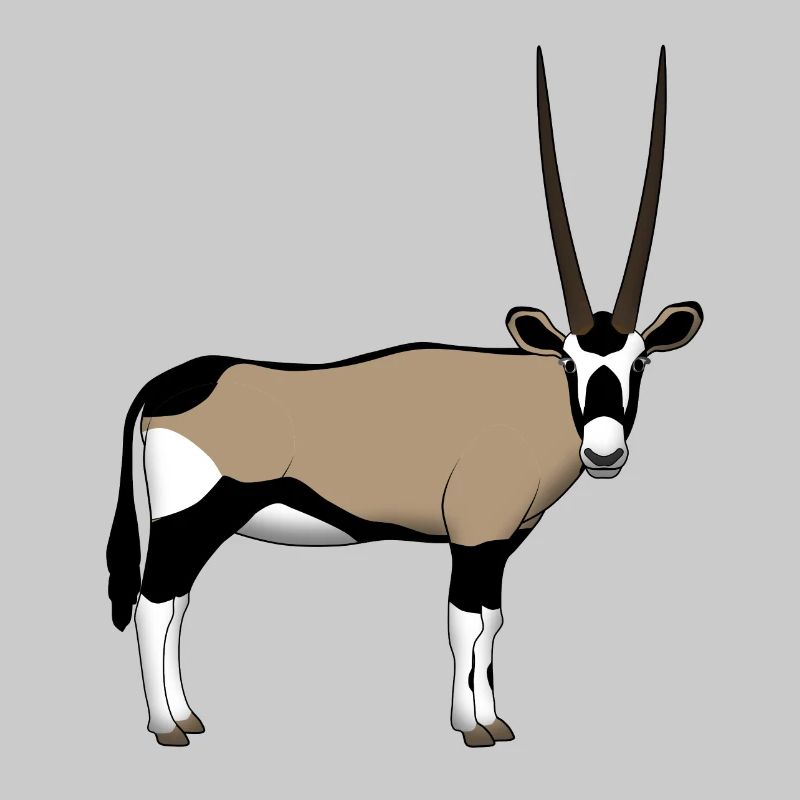 Devant de la tête Oryx