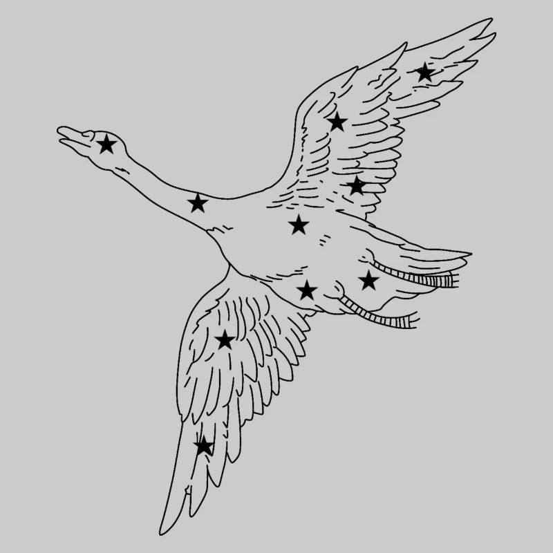 Constellation