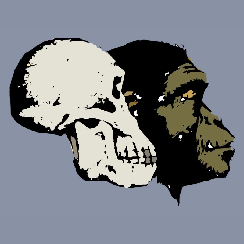 Evolution