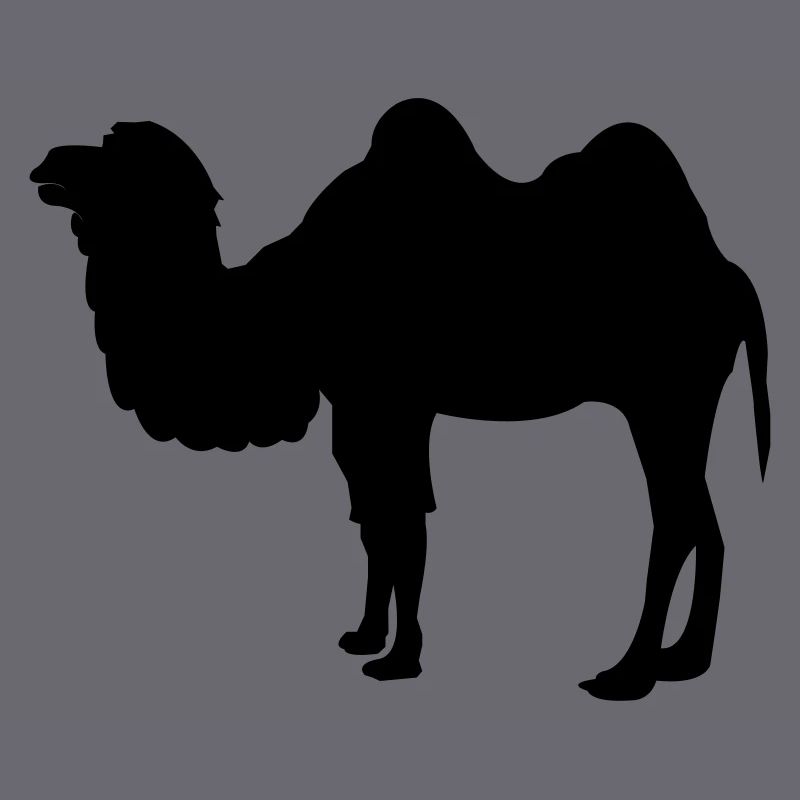 kamel