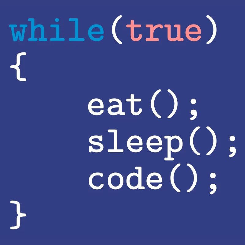 Programmierer, Software, Informatik, Developer