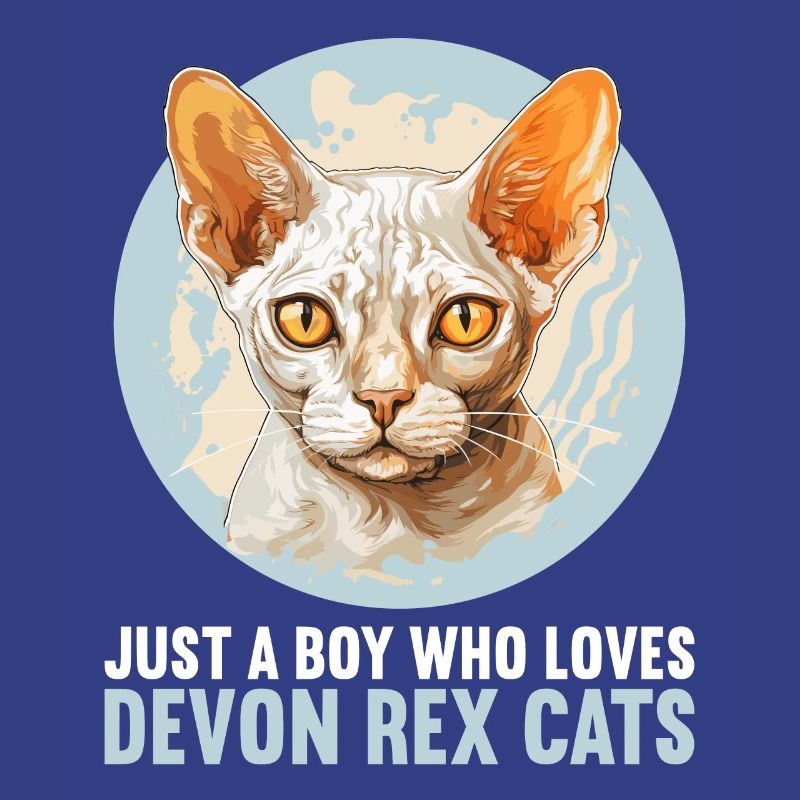 Chaton Devon Rex Chat Devon Rex