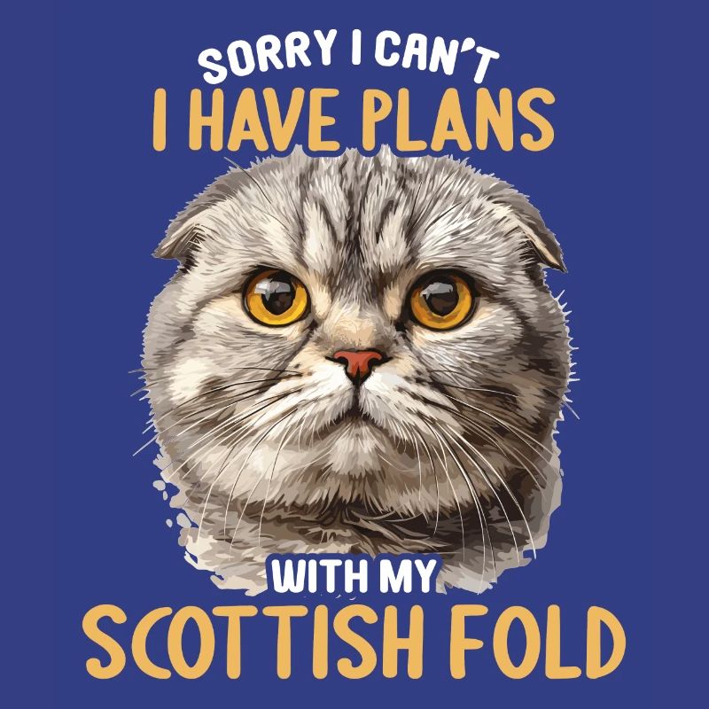 Scottish Fold Kätzchen Scottish Fold Katze