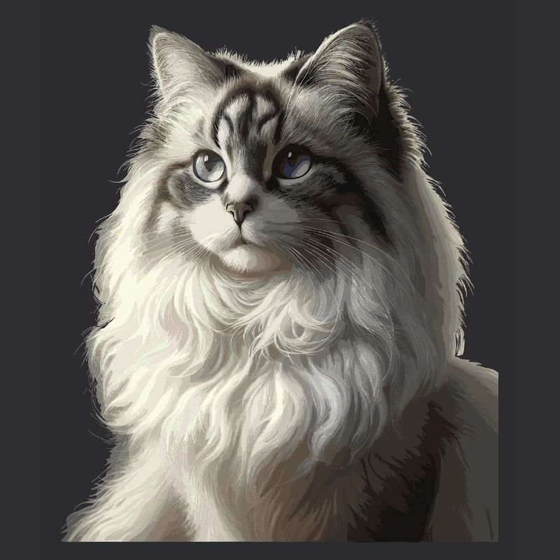 Fluffiges Katzengesicht Porträt