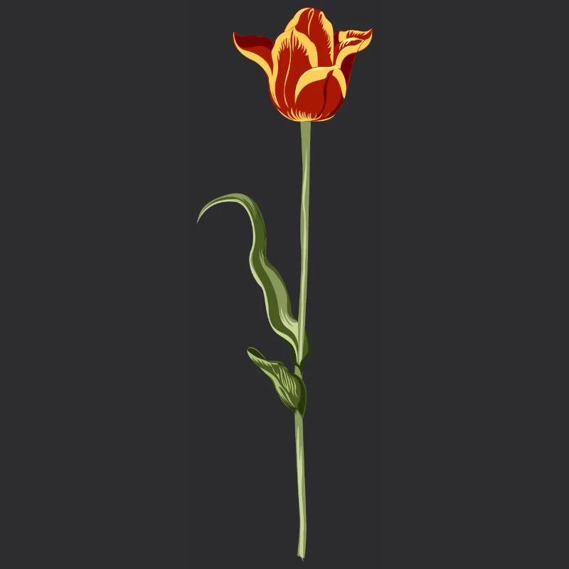Tulipe du soir avec dégradé de couleurs chaudes