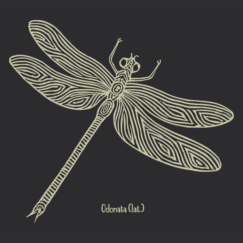 Libellule Odonate