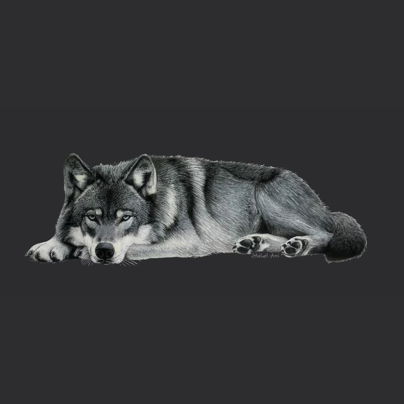 wolf