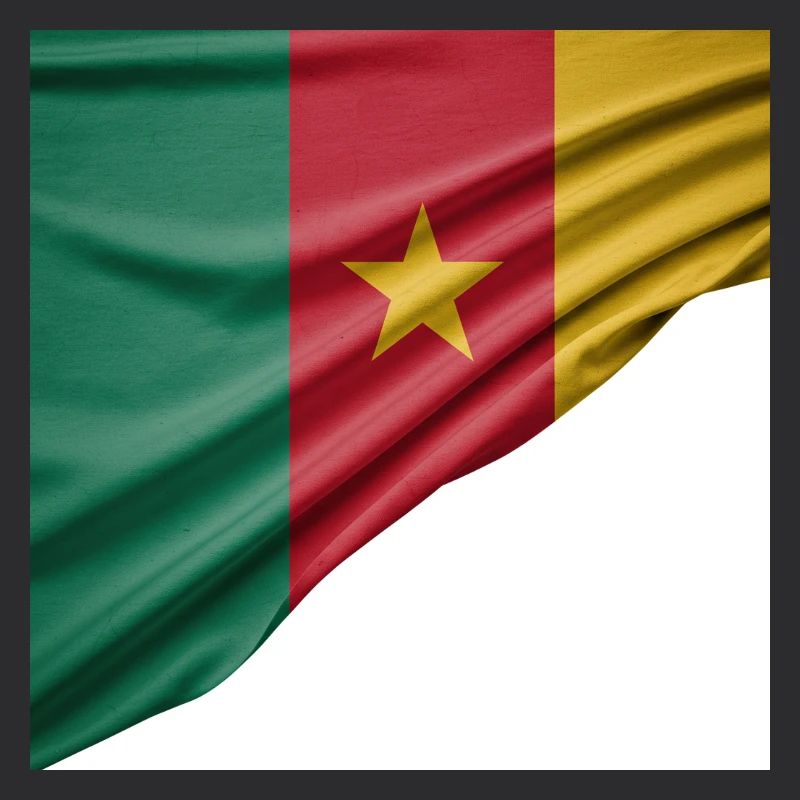 drapeaux du Cameroun
