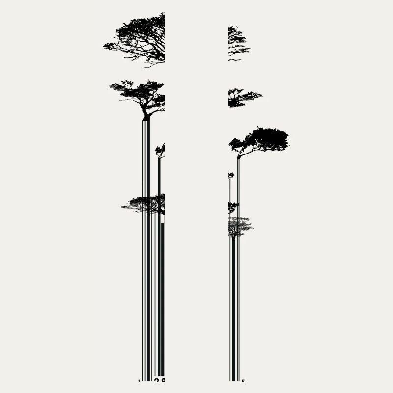 CODE BARRE - Arbre - conso