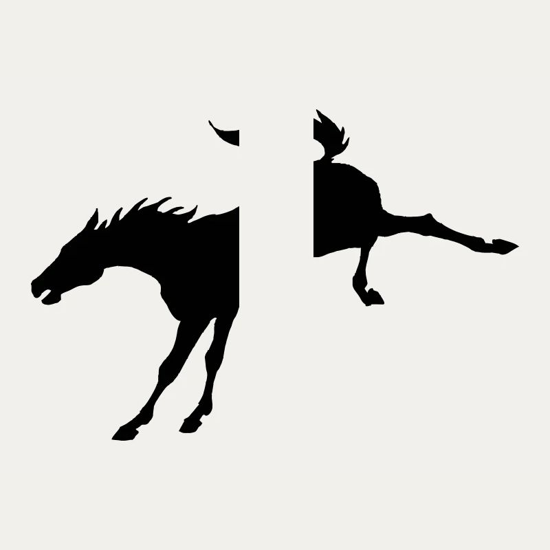 Bronco