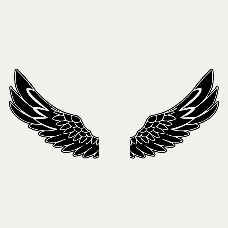 Ailes noir de