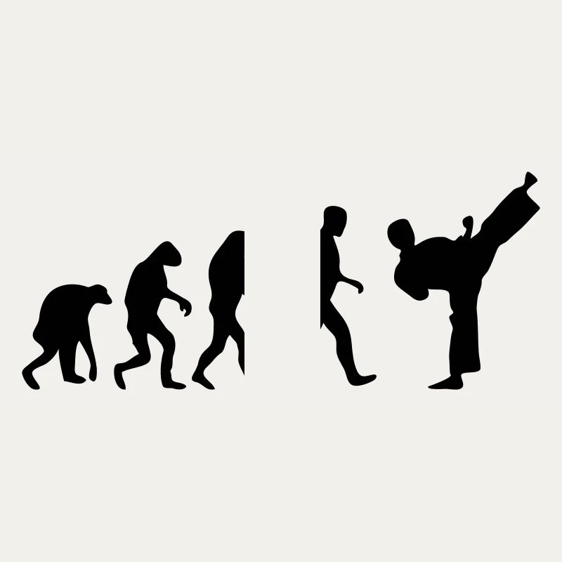 fight evolution karate teakwondo fighter kick