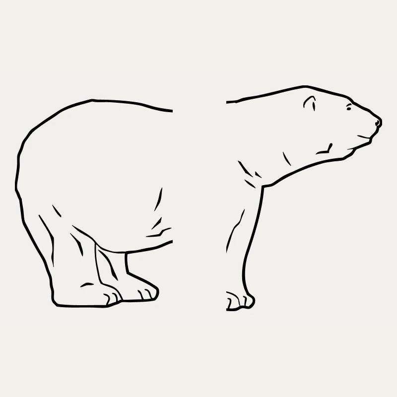 Polar Bear - Eisbär