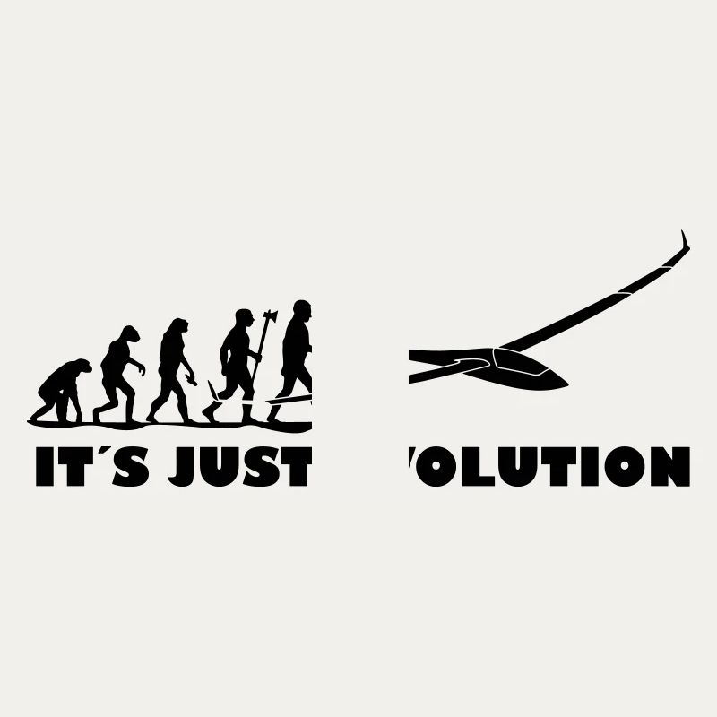 Evolution Segelflugzeug