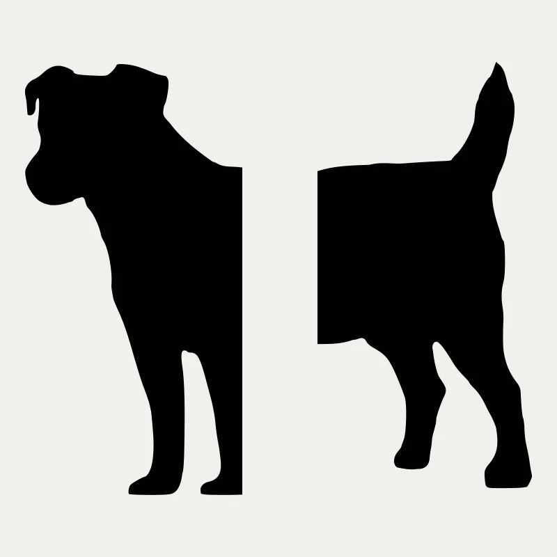 Jack Russell