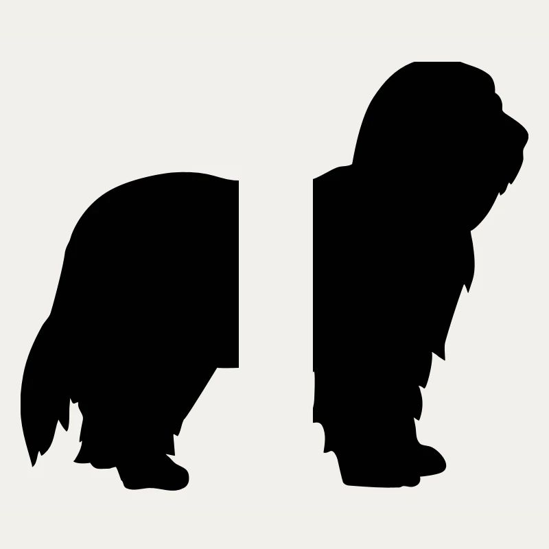 Bearded Collie