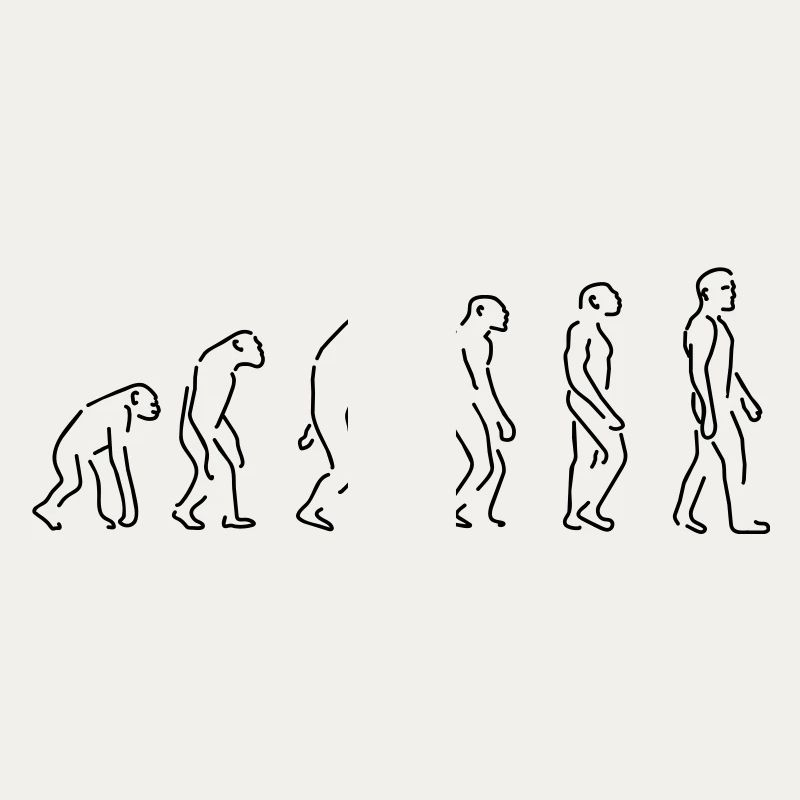 Evolution