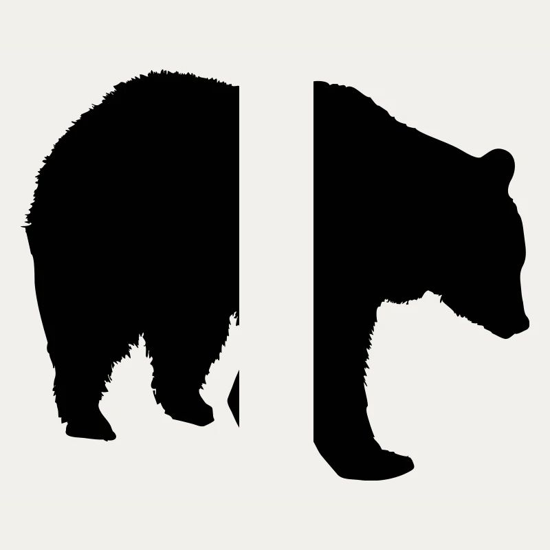 bär - braunbär - eisbär - bear