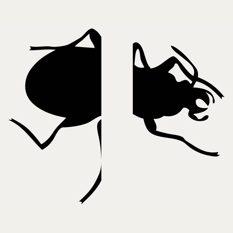 Bug