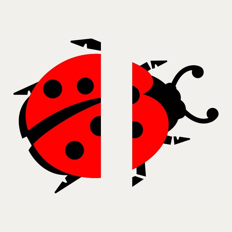 ladybug - marienkaefer