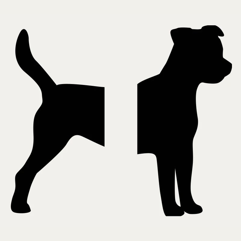 Parson Jack Russel Terrier