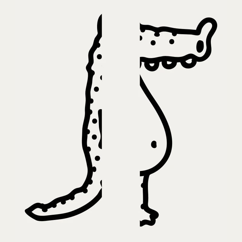 Crocodile - Line