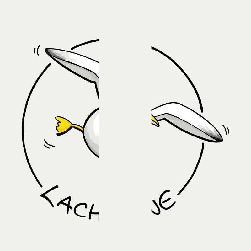 Lachmöwe