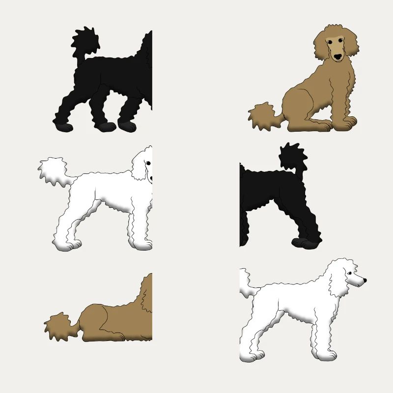 Sélection de caniche