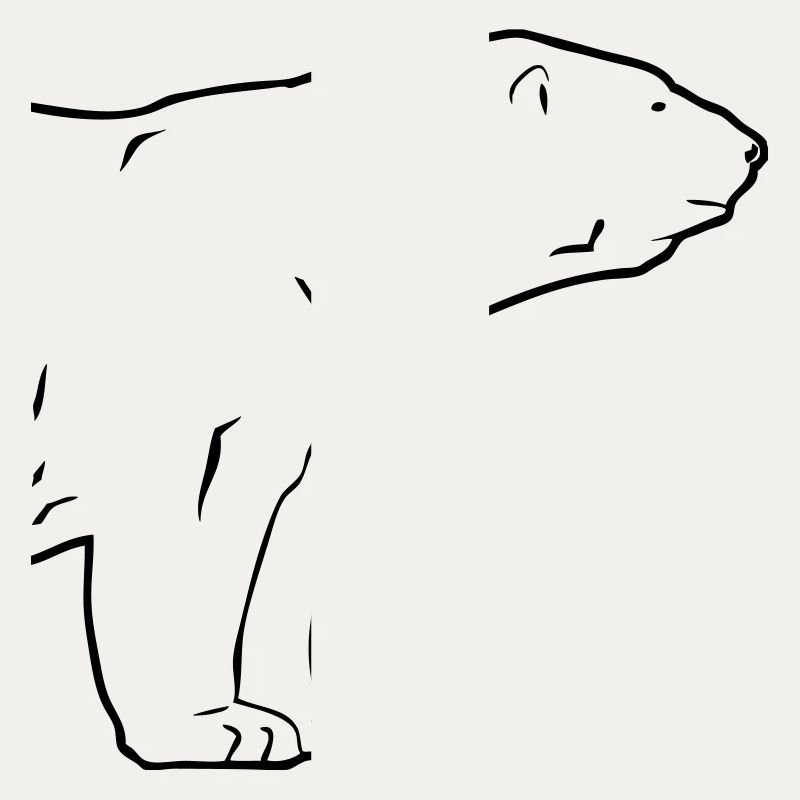 Polar Bear - Eisbär