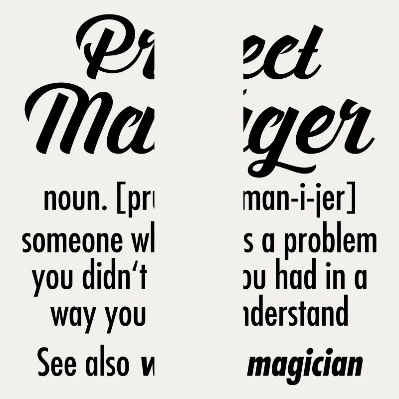 Project Manager - Definition