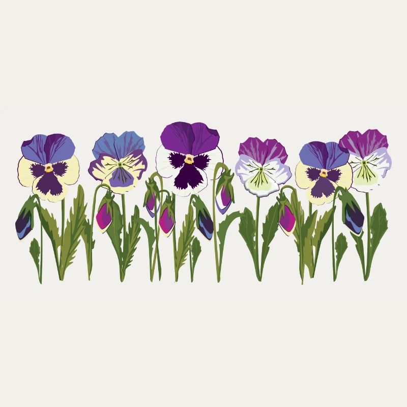 Rangée de fleurs de pensée en violet
