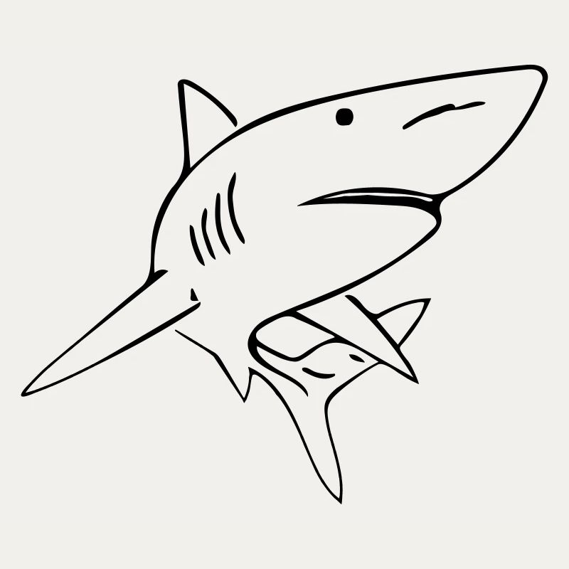 Shark - Vector Design
