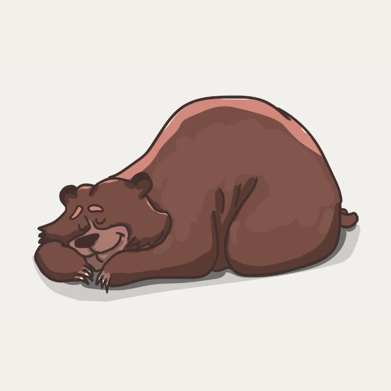 Der schlafende Bär