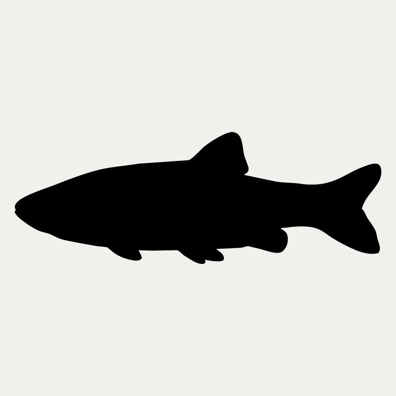 Fish silhouette chub