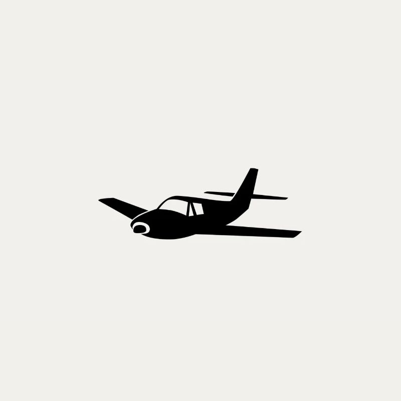 Flugzeug