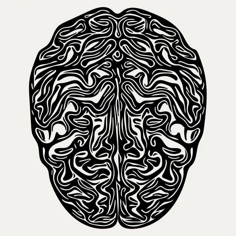 Cerveau - Vector anatomique