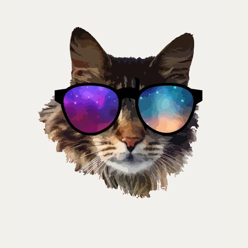 chat