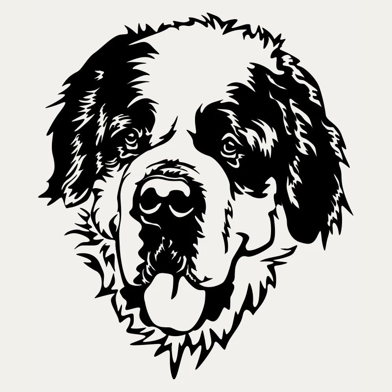 St. Bernard's Head