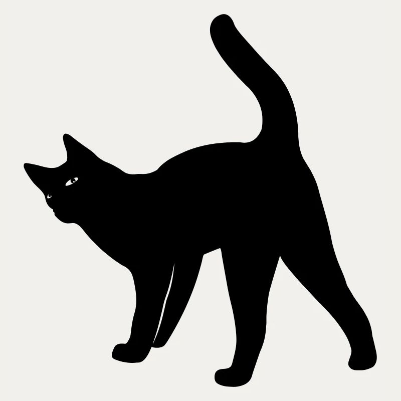 Chat chat