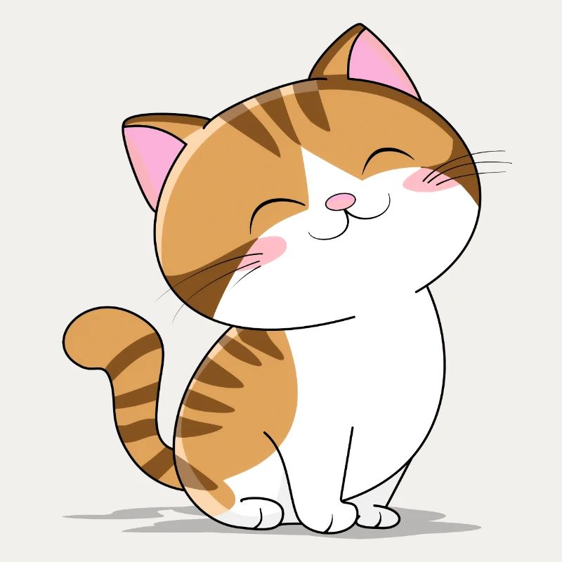 Petit chat mignon