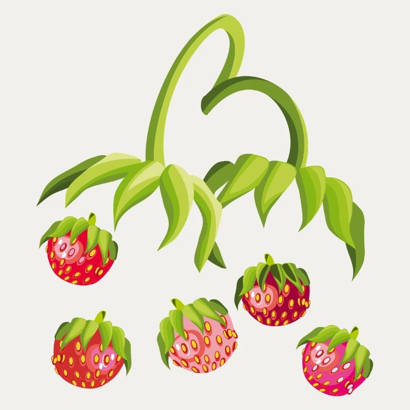 Erdbeerzeit Strawberry