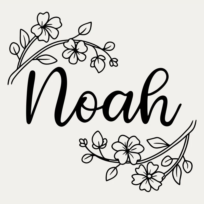 Noé | Nom du nom | Vectographie !