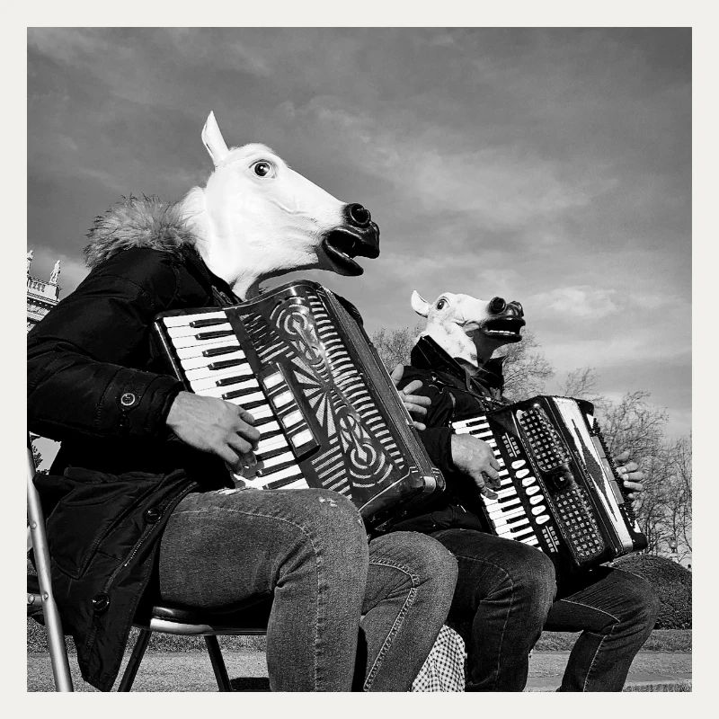 Bande de chevaux
