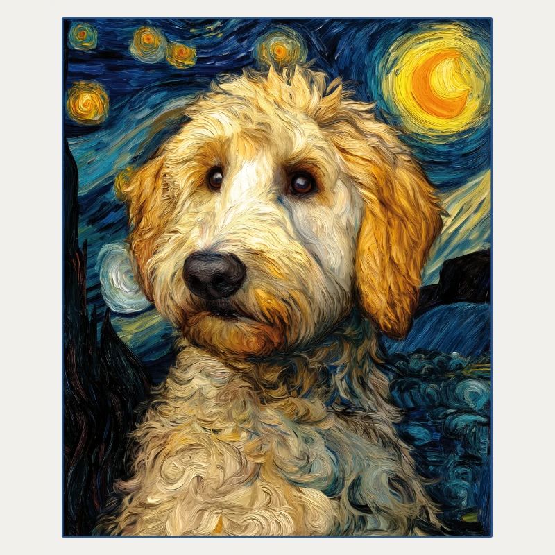 Havanese