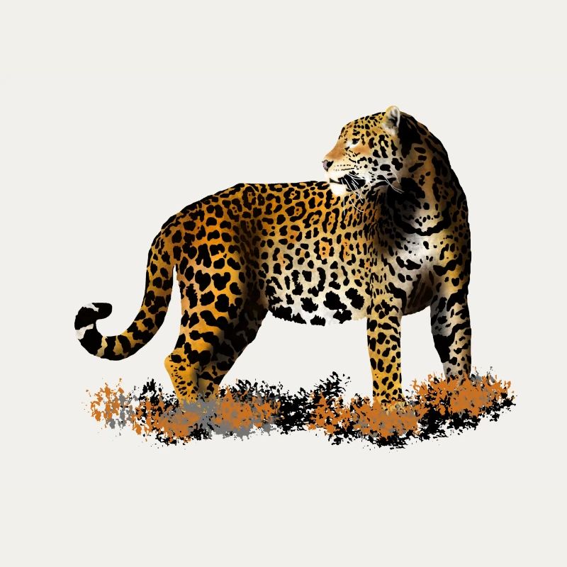 Leopard