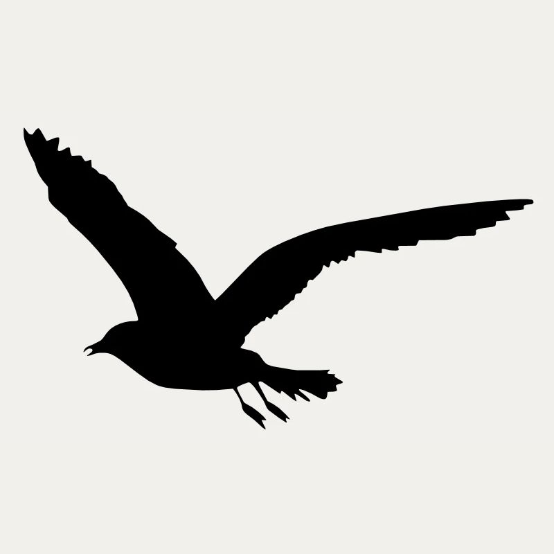seagull